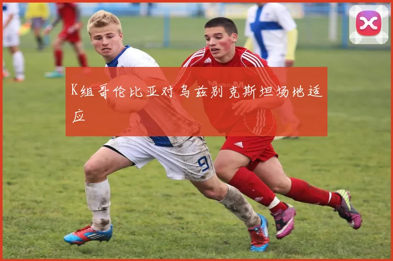 K组哥伦比亚对乌兹别克斯坦场地适应