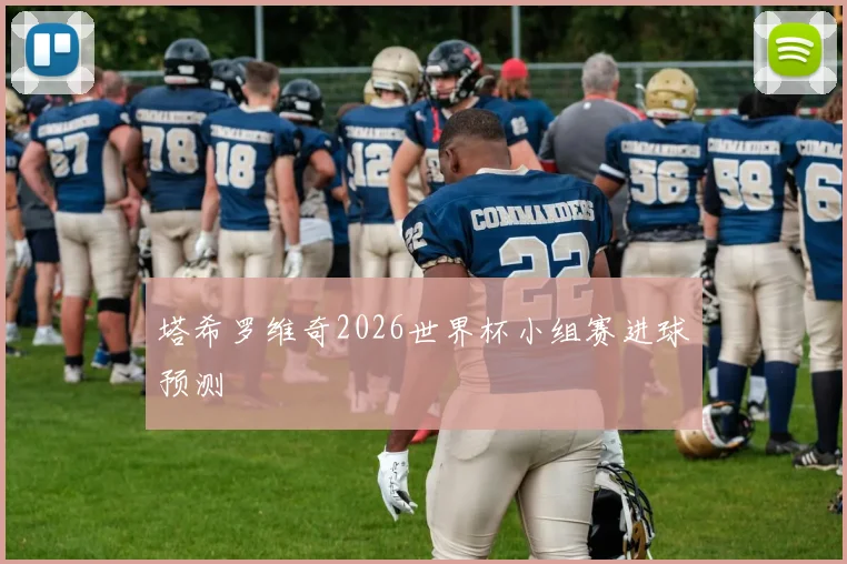 塔希罗维奇2026世界杯小组赛进球预测