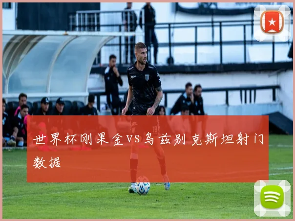 世界杯刚果金vs乌兹别克斯坦射门数据