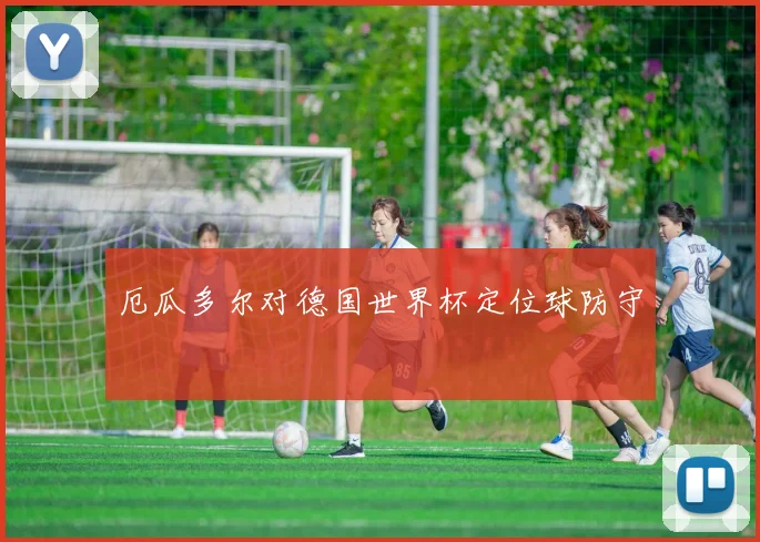 厄瓜多尔对德国世界杯定位球防守